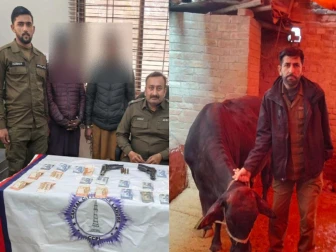 لاہور؛ دو رکنی متحرک بھینس چور گینگ گرفتار