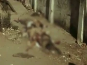 1971 کے سانحات؛ بہاری کمیونٹی پر مظالم کی چشم کشا روایات سامنے آگئیں