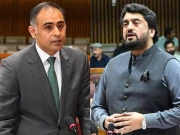 قومی اسمبلی اجلاس؛ سولر سے متعلق سوال پر وزیر مملکت نے شہریار آفریدی کو لاجواب کر دیا