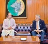 نائب وزیراعظم سے بلاول بھٹو زرداری کی ملاقات، آزاد کشمیر کی صورتحال پر تبادلہ خیال