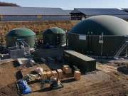 کلین انرجی کے میدان میں پنجاب نے سب کو پیچھے چھوڑ دیا