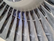 پی آئی اے کی پروازوں سے پرندے ٹکرانے کے واقعات میں اضافہ، چند طیارے گراؤنڈ