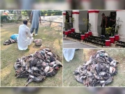 منڈی بہاؤ الدین میں مہاجر پرندوں کے غیر قانونی شکار کا انکشاف