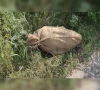 لکی مروت؛ 2سالہ بچے کی بوری بند لاش برآمد، ذبح کرکے قتل کیے جانے کا انکشاف