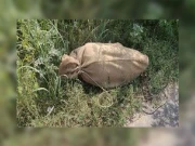 کوئٹہ میں دل دہلا دینے والا واقعہ، دو کمسن بچیوں کی بوری بند لاشیں برآمد