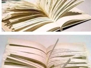 صرف 10 صفحات کی کتاب جسے مکمل پڑھنے کیلئے لاکھوں سال چاہیئں