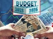 اہم شعبے نظرانداز، برآمدات میں اضافے کا موقع ضائع کردیا گیا، پی آر اے سی کی بجٹ پر تنقید