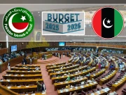 وفاقی بجٹ پر اہم سیاسی موڑ؛ پی ٹی آئی نے پیپلز پارٹی کو بڑی پیشکش کردی