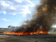 ترکیے میں چرس کا انبار جلانے سے ہزاروں رہائشی نشے کی حالت میں مبتلا 