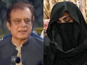 پشاور ہائیکورٹ: بشریٰ بی بی، شبلی فراز اور دیگر کی حفاظتی ضمانتیں منظور