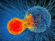 کینسر کی تشخیص اب پیشاب کے نمونوں سے بھی کی جاسکے گی