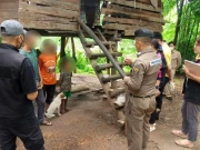 مسلسل نظرانداز کیے جانے والا بچہ کتوں کے ساتھ وقت گزارنے لگ گیا