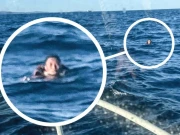 بحری جہاز سے سمندر میں گرجانے والے شخص کو 24 گھنٹے بعد بچا لیا گیا