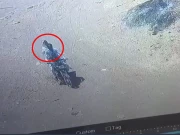 کورنگی میں خاتون کا قتل؛ مقتولہ کو پارک کون لیکر آیا؟ ویڈیو سامنے آگئی