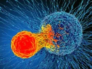 علامات ظاہر ہونے سے قبل کینسر کی تشخیص کا نیا طریقہ