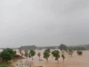 پنجاب بھر میں دفعہ 144 نافذ؛ محکمہ داخلہ نے نوٹیفیکیشن جاری کر دیا