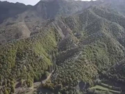 جنوبی وزیرستان میں چلغوزوں کے باغات سے عوام کے معاشی حالات میں مثبت تبدیلی