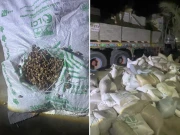 ٹف ٹائلز کی آڑ میں 24 لاکھ روپے کی چھالیہ کراچی اسمگل کرنے کی کوشش ناکام