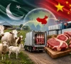 پاکستان اور چین کا لائیو اسٹاک اور گوشت کی برآمدات کے شعبے میں تعاون بڑھانے پر اتفاق
