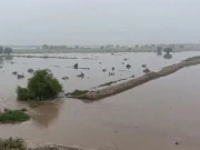 چیچہ وطنی، دریائے راوی میں انتہائی اونچے درجے کا سیلاب، قریبی آبادیوں میں پانی داخل