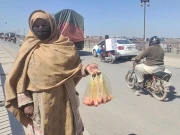 لاہور؛ سڑکوں پر صدقے کا گوشت فروخت ہونے سے چیلوں اور کوؤں کی تعداد بڑھ گئی 