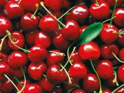 جوڑوں میں درد کیلئے چیری مفید