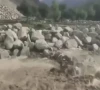 چلاس؛ کلاؤڈ برسٹ سے وادی تھور میں تباہی، مکانات، فصلیں، رابطہ پل سیلاب میں بہ گئے