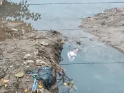 نہر سے نومولود بچے کی لاش برآمد