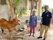 کراچی: چوری کی گئی قربانی کی گائے تین گھنٹے میں برآمد، ملزم گرفتار