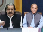 حکمران دہشتگردی روکنے کے لیے پالیسی نہیں بنا رہے، علی امین کی وفاق پر سخت تنقید