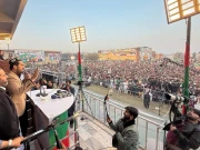 ہمیں کوے سے نہیں لڑنا اونچی اڑان رکھنی ہے، وزیراعلیٰ کے پی