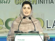 ملک سے نواز شریف کی خدمات نکال دو تو کھنڈرات کے سوا کچھ نہیں، وزیراعلیٰ پنجاب