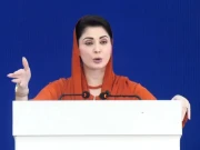 پی ٹی آئی کی حکومت نے مری کے جنگلات سے لکڑیاں کاٹ کر کنکریٹ کا شہر بنا دیا، وزیراعلیٰ پنجاب