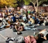بھارت میں ’کاکروچ تحریک‘ زور پکڑ گئی، وزیر تعلیم کے استعفے تک احتجاج جاری رکھنے کا اعلان
