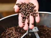 پاناما کی گیشا کافی نے مہنگے داموں فروخت ہونے کا ریکارڈ بنا دیا