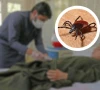کوئٹہ کے 22 سالہ نوجوان میں کانگو وائرس کی تصدیق