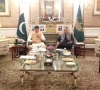 مسلم لیگ ن اور پیپلز پارٹی کا مشترکہ اجلاس، اتحادی حکومت کو مستحکم رکھنے کے عزم کا اعادہ