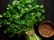 سوزش، گھبراہٹ اور شوگر کے مریضوں کیلئے دھنیا مفید قرار