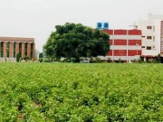 کپاس کی بحالی کے بجائے تنزلی کی جا رہی ہے، احسان الحق