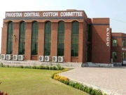 وزارت خزانہ کی منظوری کے بغیر 155 ملازمین کی بھرتیاں، سینٹرل کاٹن کمیٹی بے نقاب