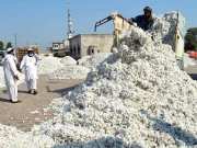 کاٹن انڈسٹری کے تاریخ کے بدترین معاشی بحران میں مبتلا ہونے کے خدشات