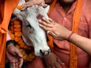 گاؤ ماتا کے نام پر مسلم نوجوانوں پر انتہاپسند ہندوؤں کا بہیمانہ تشدد؛ ایک جاں بحق، دوسرا زخمی 