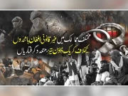 مختلف ممالک میں غیرقانونی افغان باشندوں کیخلاف کریک ڈاؤن تیز،مزید گرفتاریاں