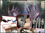  رواں برس جرائم میں کمی کے پولیس کے دعوے دھرے رہ گئے