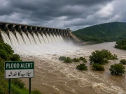 Express News