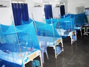 جڑواں شہروں میں ڈینگی پر قابو نہ پایا جا سکا، 24 گھنٹوں میں 32 نئے کیس رپورٹ