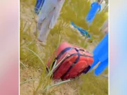 چارسدہ؛ سُوٹ کیس سے برآمد لڑکی کی لاش کا ڈراپ سین؛ سگا بھائی اور شوہر قاتل نکلے