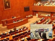 بلوچستان میں شادی شدہ جوڑے کے سفاکانہ قتل کیخلاف سینیٹ میں قرارداد منظور، جے یو آئی کی مخالفت