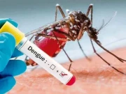 حیدرآباد میں ڈینگی کے وار جاری، 70 سالہ خاتون کا انتقال