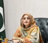 پشاور ہائیکورٹ نے ڈپٹی اسپیکر کے پی اسمبلی کو گرفتار کرنے سے روک دیا